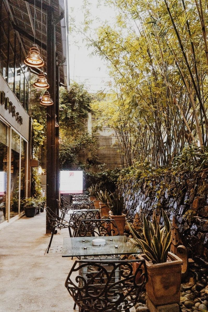 Cafe Bản Sonate - Phòng Trà Khúc Ban Chiều