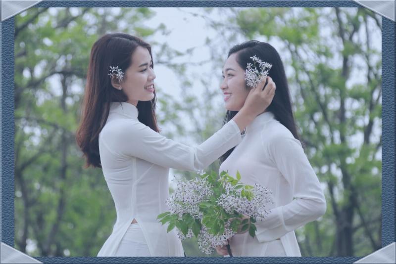Bâng khuâng sắc tím hoa xoan