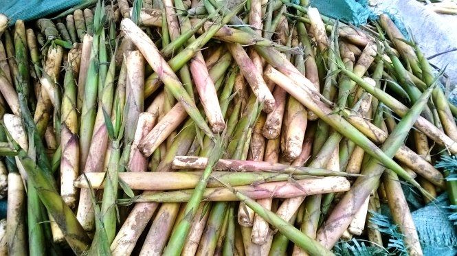 Măng sặt cả vỏ