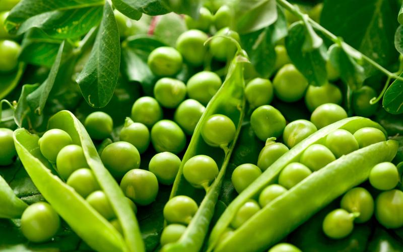 Đậu hà lan giàu vitamin cho bé
