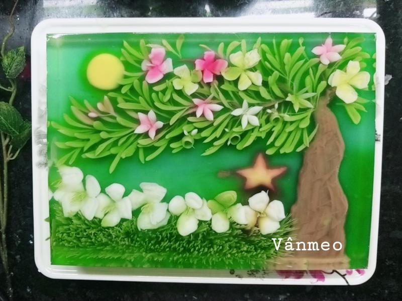 Bánh Rau Câu 3D Vân Meo