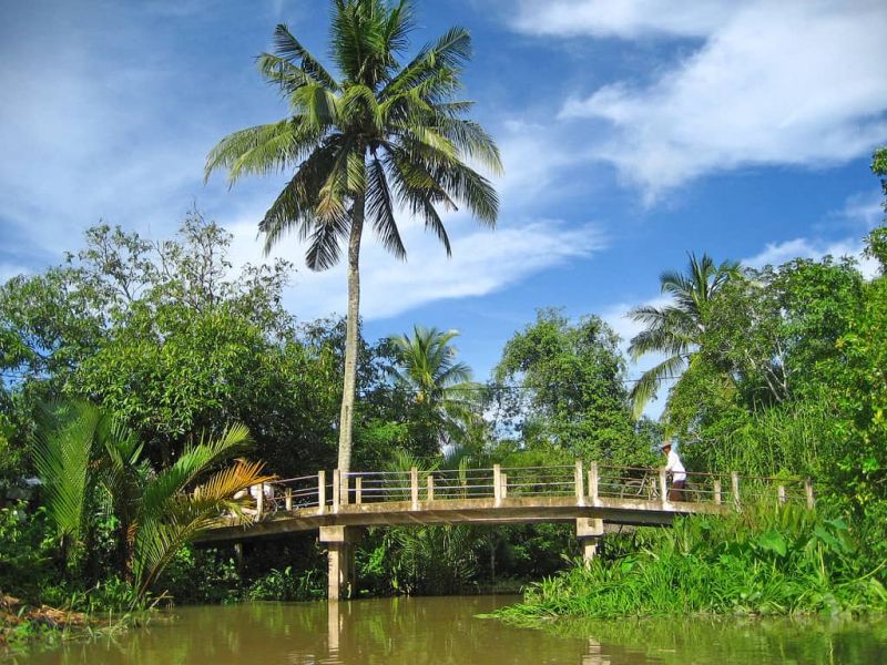 Ảnh minh họa (Nguồn internet)