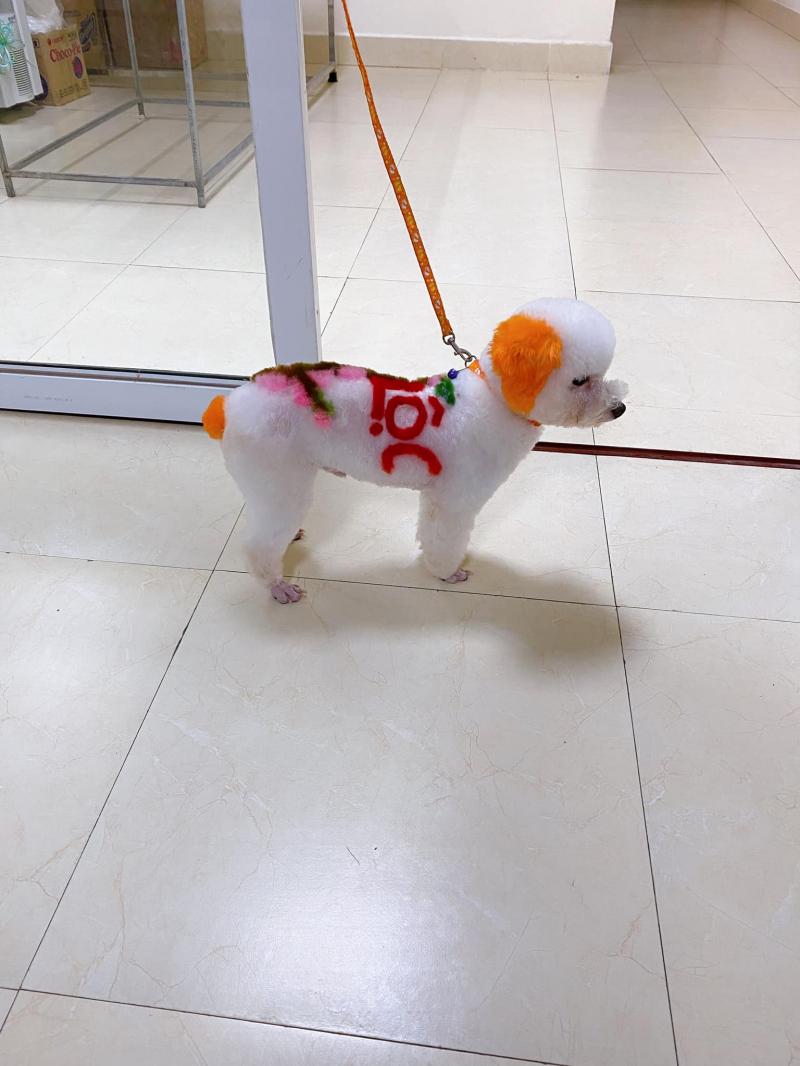 Bệnh viện thú y Jun - Vet