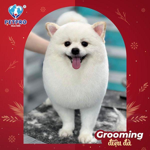 Hệ thống Bệnh viện Thú y PetPro