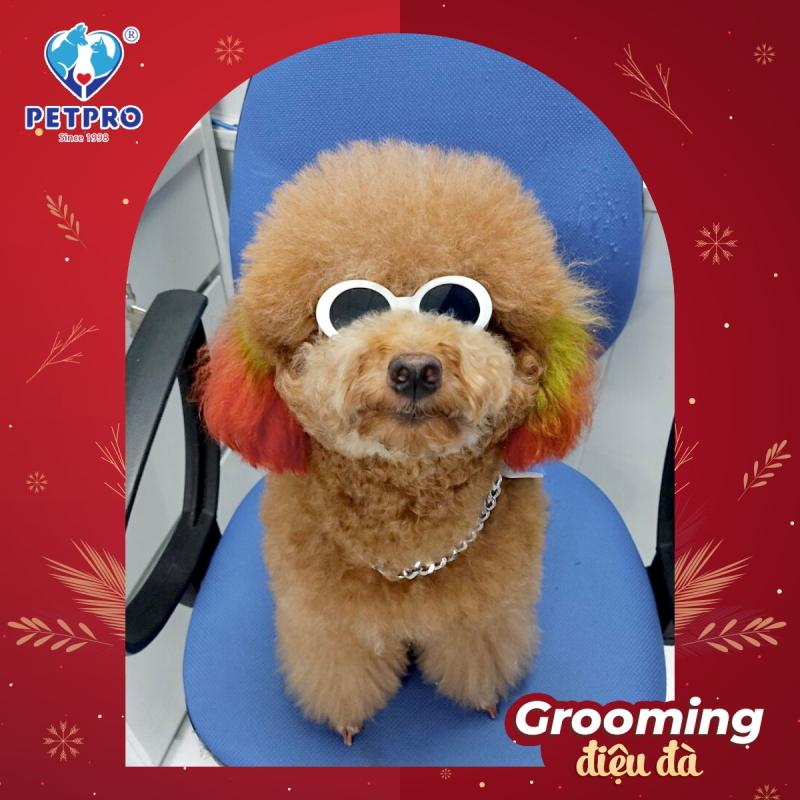 Hệ thống Bệnh viện Thú y PetPro