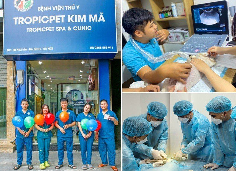 Bệnh Viện Thú Y Tropicpet 30 Kim Mã