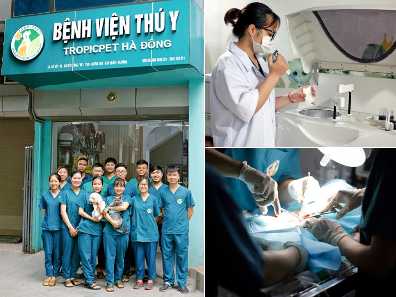 Bệnh Viện Thú Y Tropicpet Hà Đông