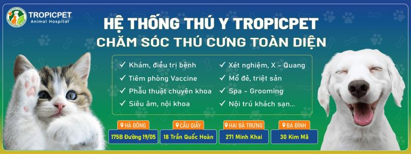 Bệnh Viện Thú Y Tropicpet 30 Kim Mã