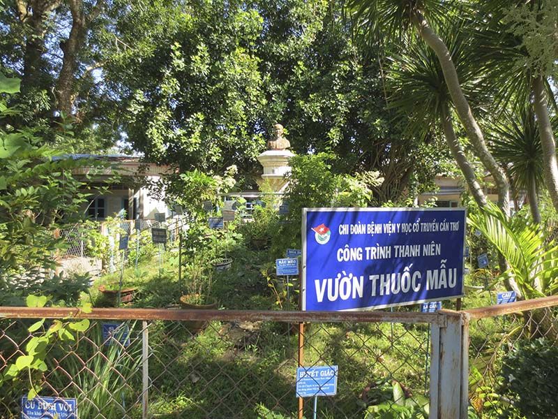 Vườn thuốc mẫu trong bệnh viện