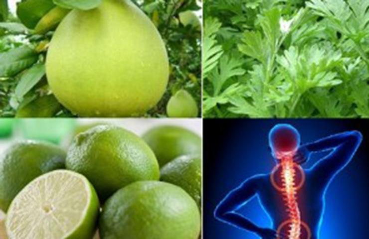 Bưởi, chanh, ngãi cứu chữa thoát vị đĩa đệm hiệu quả