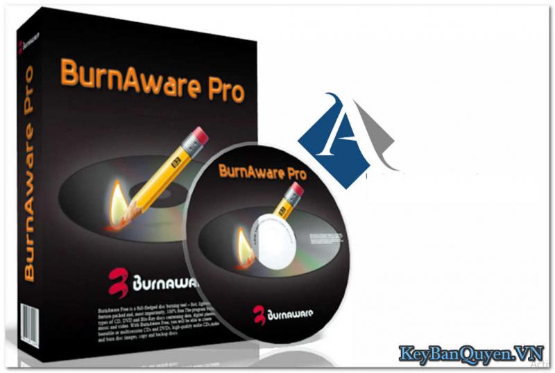 BurnAware Professional