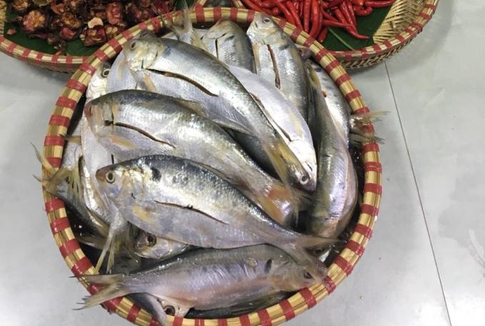 Cá mòi tốt cho bệnh viêm khớp dạng thấp, có khả năng chống viêm