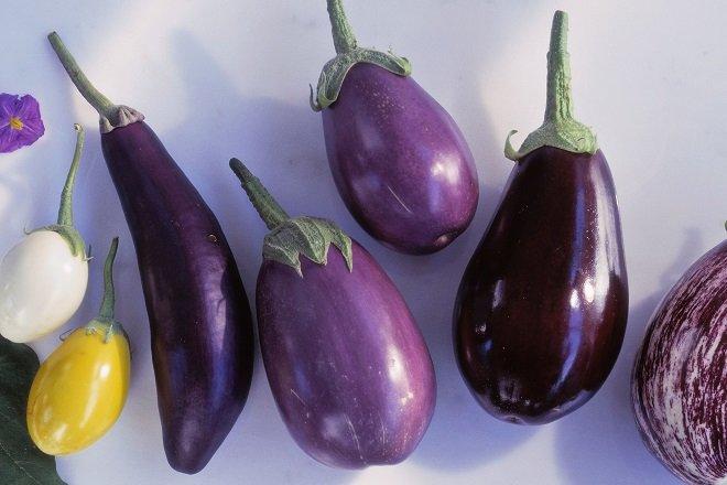 Cà tím cuộn sốt cà chua