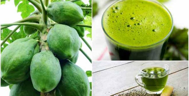 Cách chữa bệnh gout bằng đu đủ xanh và trà xanh