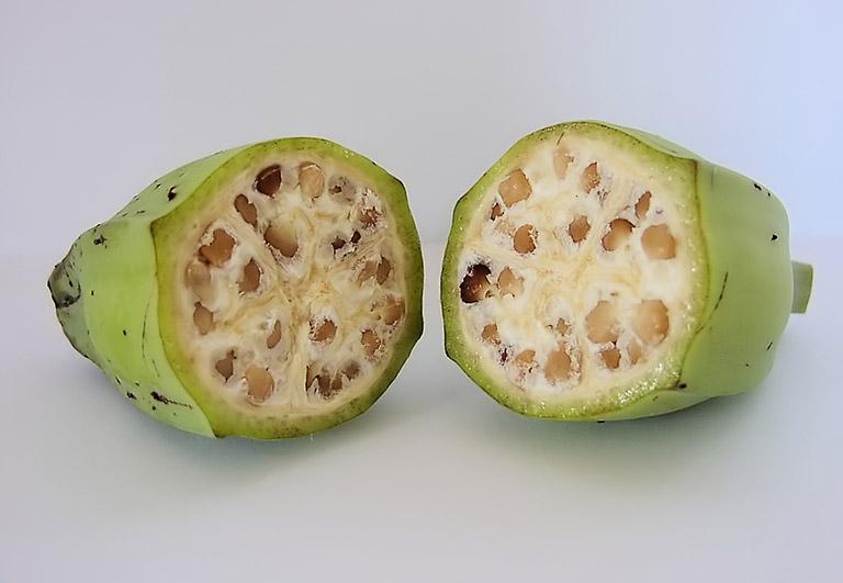 Cách chữa sỏi thận bằng chuối hột