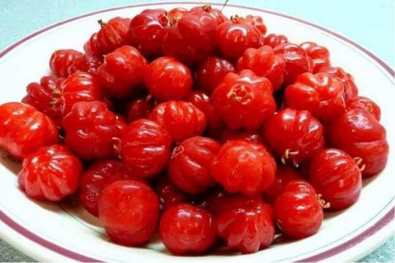 Mứt trái cây chùm ruột.