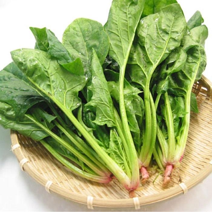 Cải bó xôi có màu xanh, nhiều chất xơ nên có tác dụng nhuận trường, trị táo bón