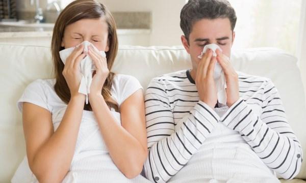 Cháo tía tô chữa cảm lạnh rất tốt