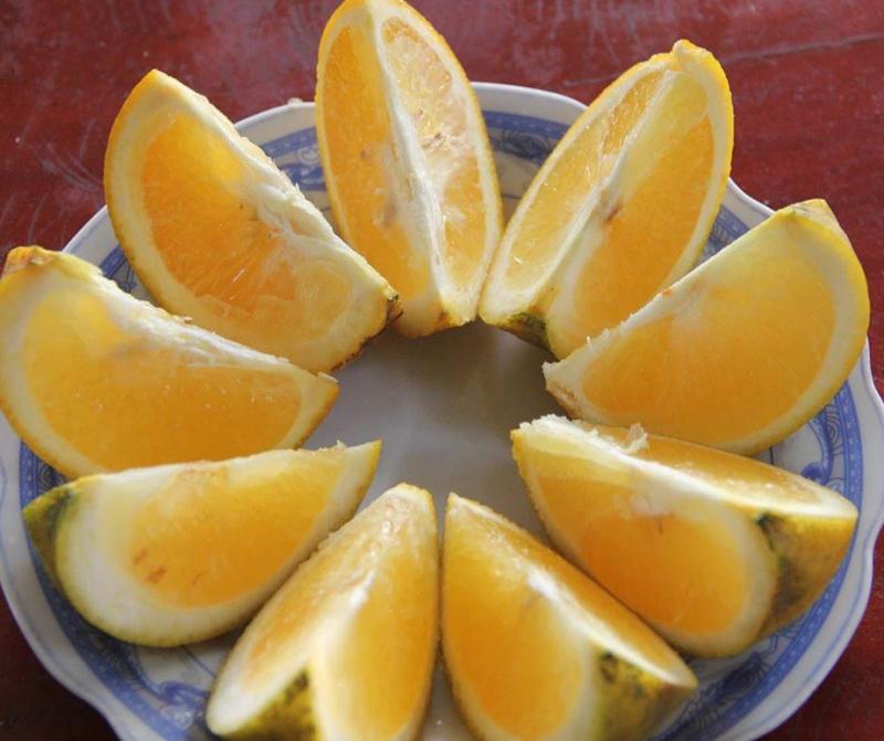Múi cam Xã Đoài căng mọng