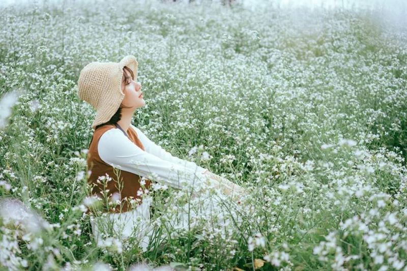 Cánh đồng hoa cải trắng Đà Lạt