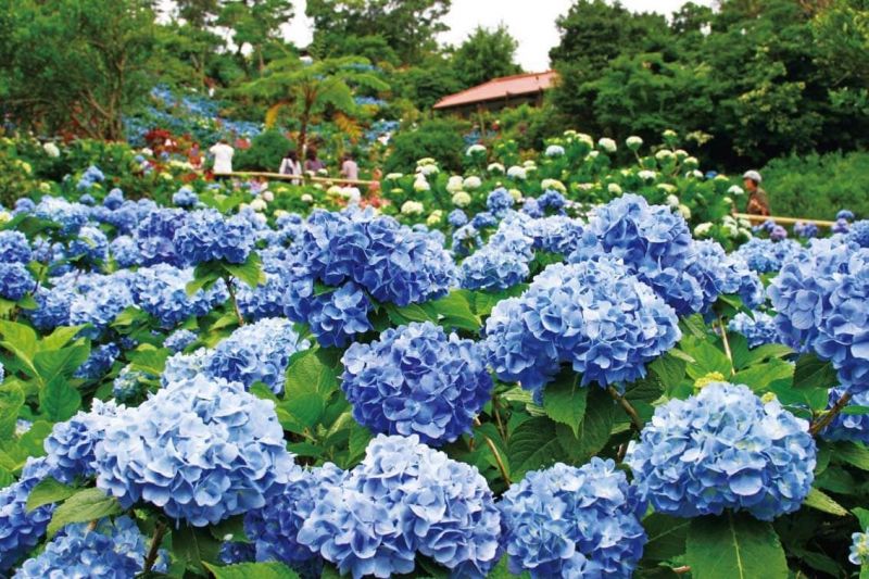 Trích dẫn hay số 4