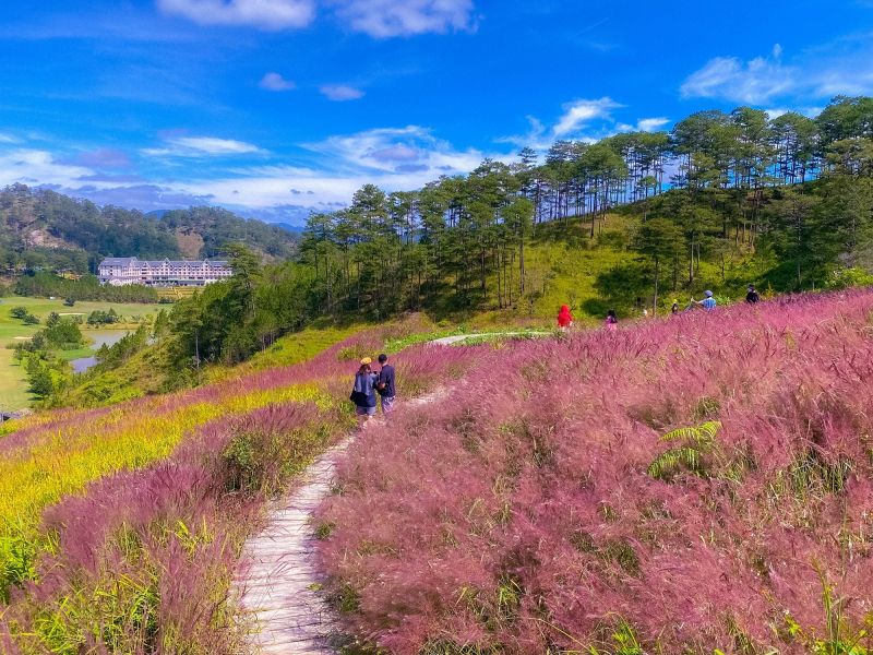 Trích dẫn hay số 5