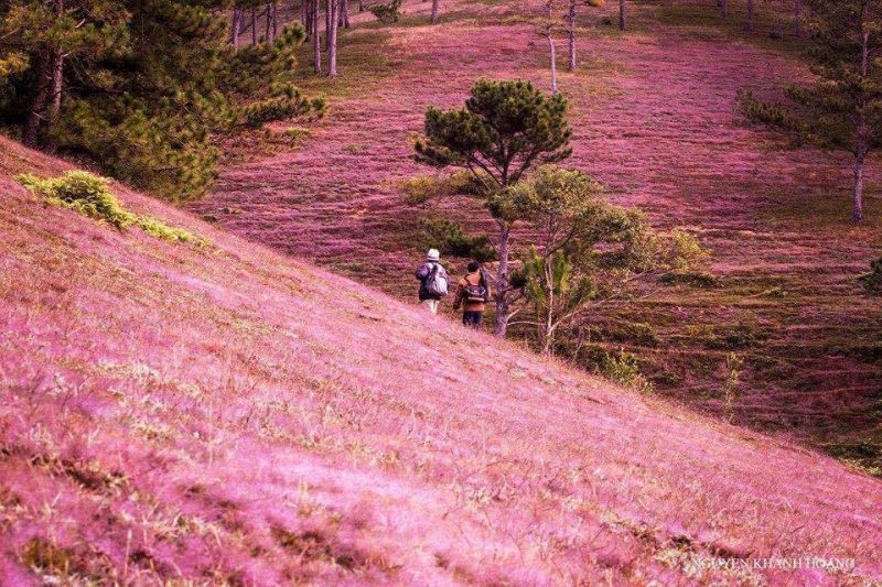 Trích dẫn hay số 2