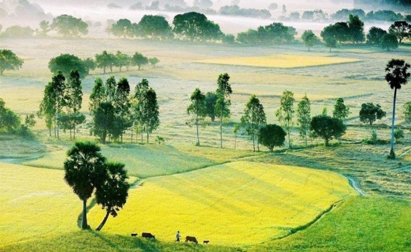 Nhớ một bầu trời