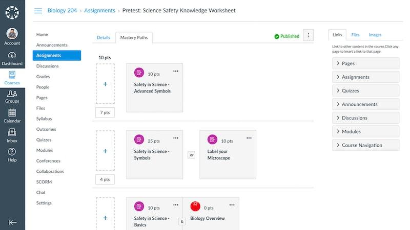 Canvas LMS