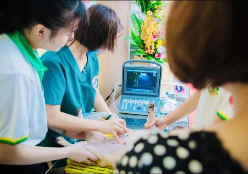 Cao đẳng Công nghệ và Môi Trường Hà Nội