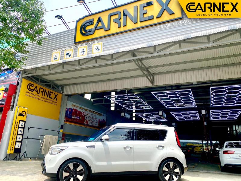 Carnex