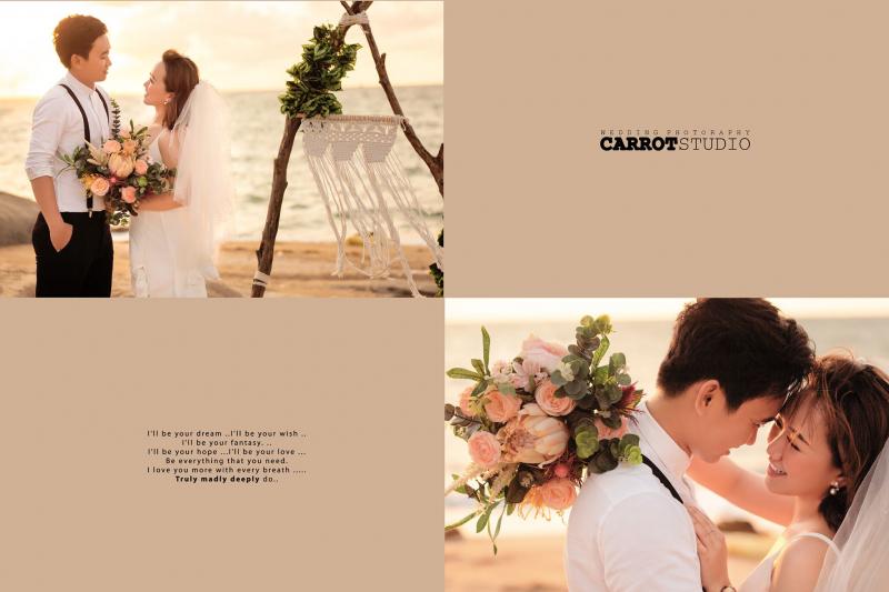 Carrot Studio