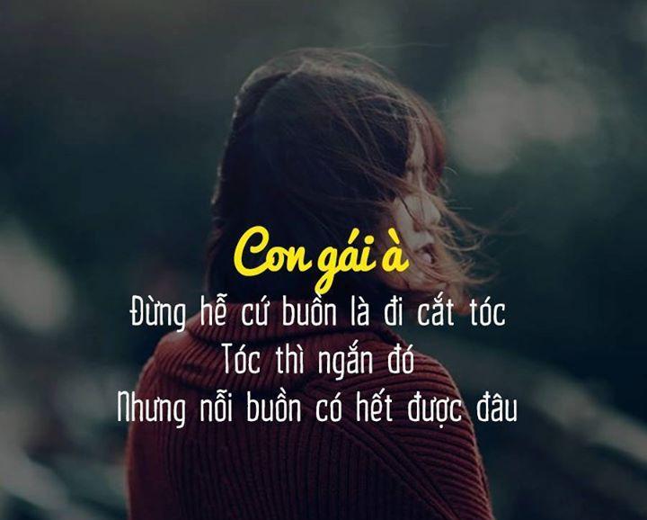 Cắt tóc vì tình