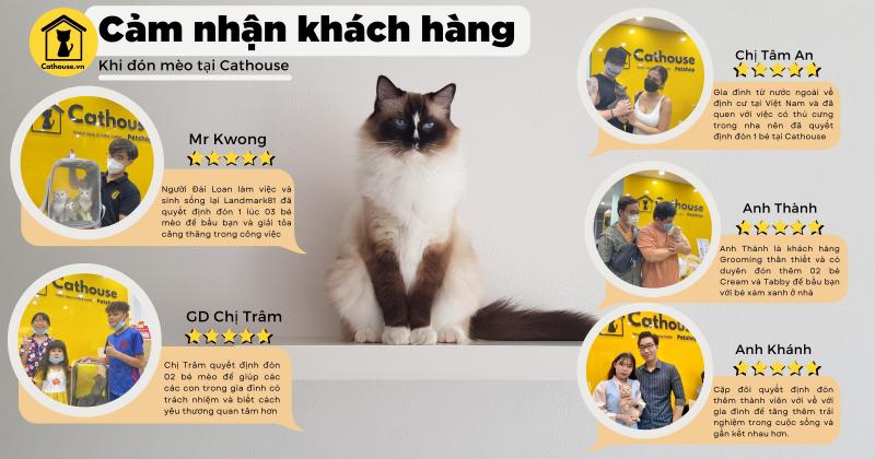 CATHOUSE.VN