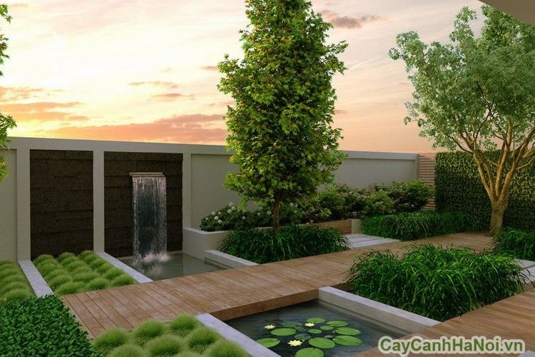Công ty TNHH MTV Cây Cảnh Hà Nội