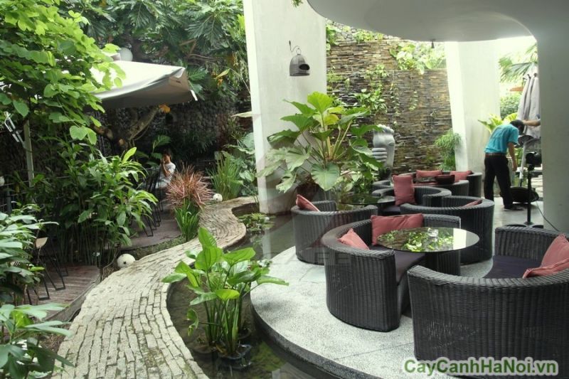 Công ty TNHH MTV Cây Cảnh Hà Nội