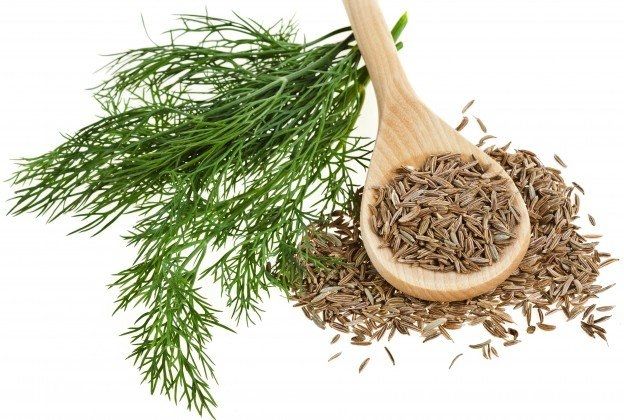 Hạt thì là chống đầy hơi