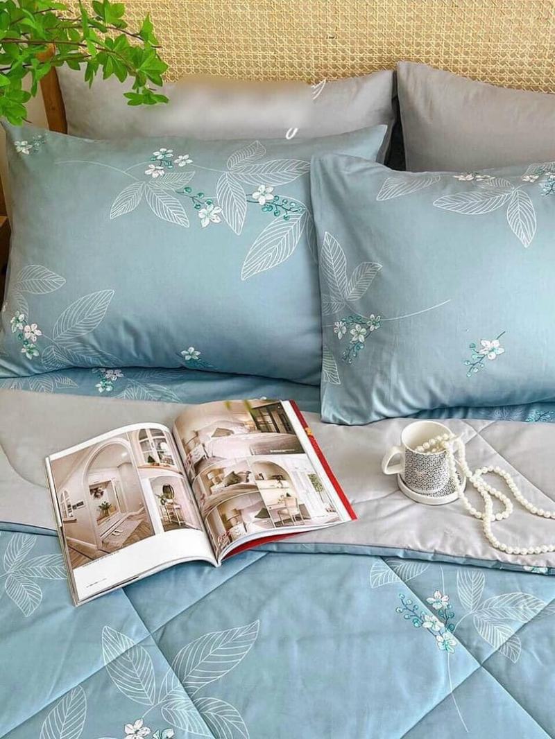 Chăn ga gối đệm Tuấn Lệ