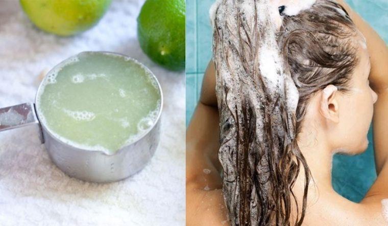 Gội đầu bằng chanh giúp làm dày tóc, ngăn ngừa tóc gãy rụng một cách hiệu quả