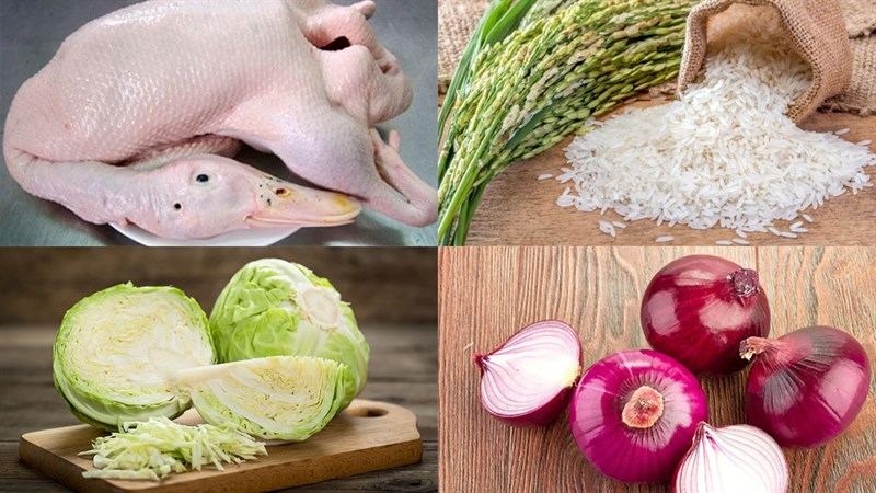 Cháo gỏi vịt