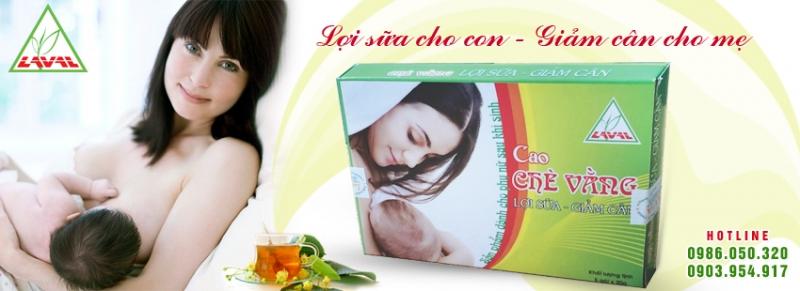 Cao chè vằng Lava