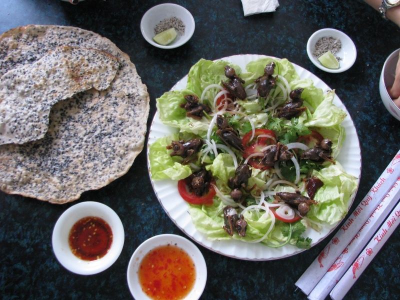 Chim mía nướng quà tặng từ thiên nhiên