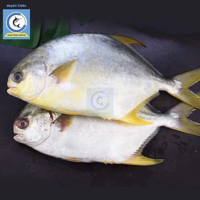 Chợ Hải Sản Huyền Chiến