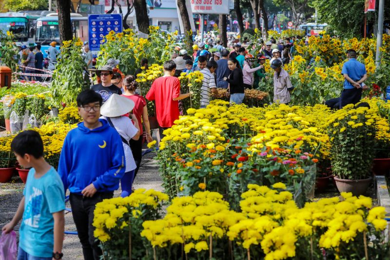 Bài văn tả cảnh chợ hoa ngày tết quê em số 8