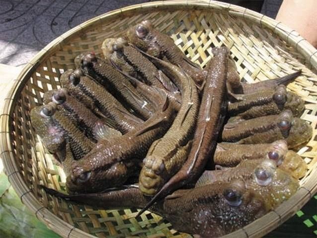 Chợ Xóm chiếu