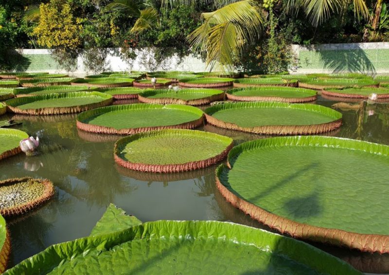 Chùa Phước Kiển