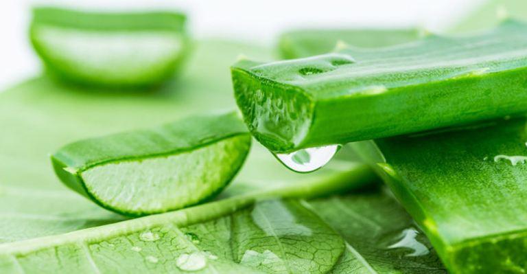 Chữa viêm đường tiết niệu bằng nha đam