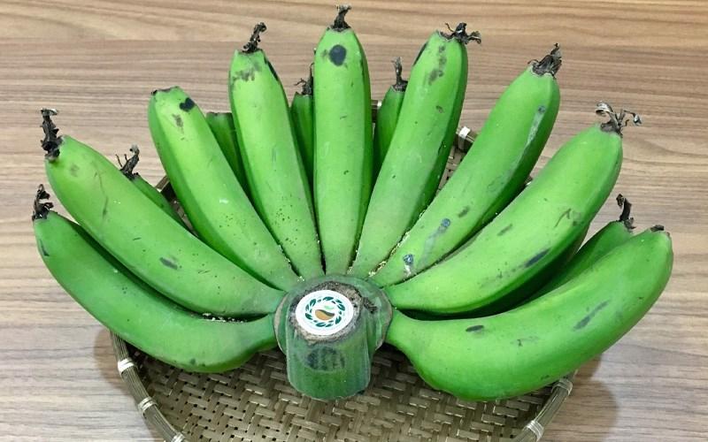 Chuối mang ý nghĩa như bàn tay ngửa để che chở đem lại sự bình an, sung túc, đùm bọc và gắn kết.