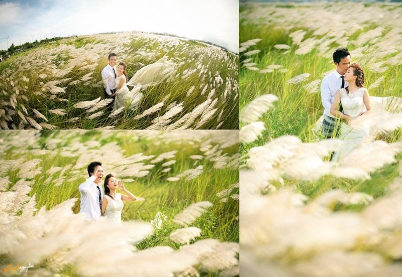 Một góc khác của bán đảo Sơn Trà