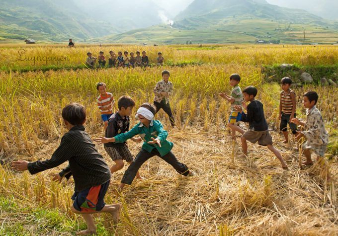 Bịt mắt bắt dê trên cánh đồng